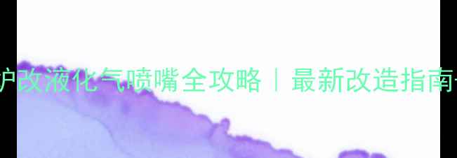 北京上海等8大省市壁挂炉改液化气喷嘴全攻略最新改造指南避坑指南附成本清单