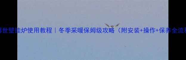 博世壁挂炉使用教程冬季采暖保姆级攻略附安装操作保养全流程