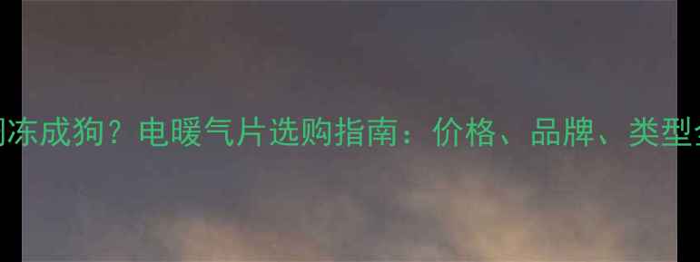 图片 💔冬天还在用空调冻成狗？电暖气片选购指南：价格、品牌、类型全（附真实测评）