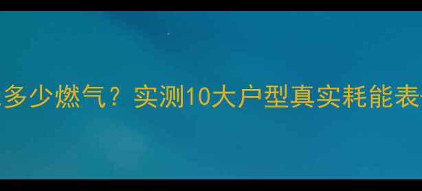 图片 💔冬季壁挂炉一天烧多少燃气？实测10大户型真实耗能表+省气秘籍大公开！2