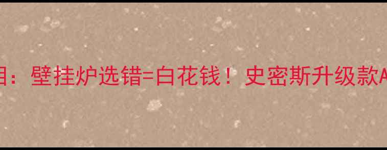 南方人过冬真相壁挂炉选错白花钱史密斯升级款A实测报告来了