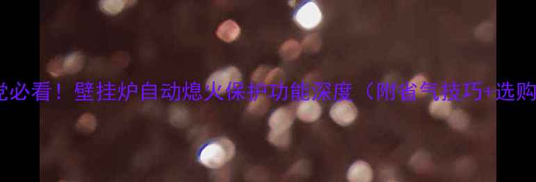 租房党必看壁挂炉自动熄火保护功能深度附省气技巧选购指南