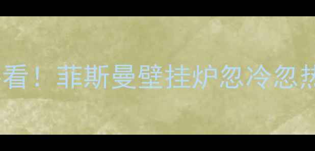 供暖季必看菲斯曼壁挂炉忽冷忽热怎么办