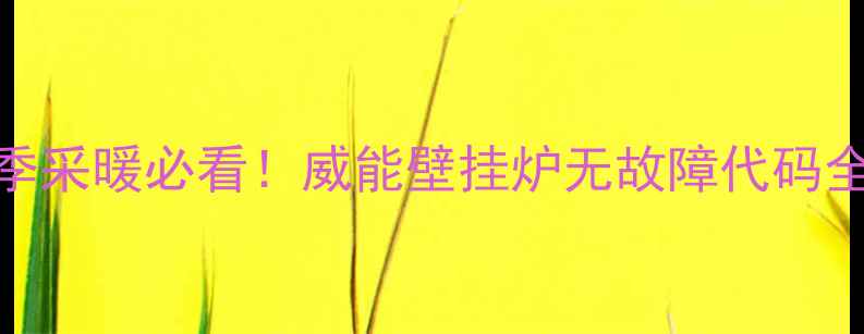 图片 💡冬季采暖必看！威能壁挂炉无故障代码全攻略