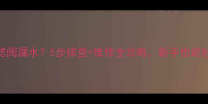图片 💡地暖进水过滤阀漏水？5步排查+维修全攻略，新手也能秒变地暖达人！