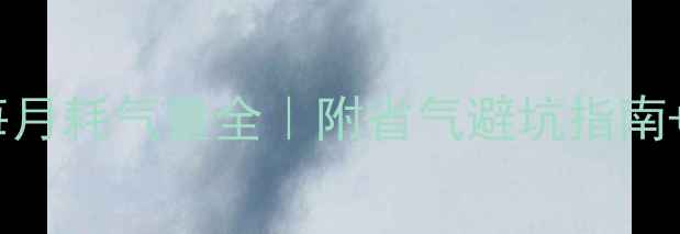 图片 💡威能壁挂炉每月耗气量全｜附省气避坑指南+科学计算公式2