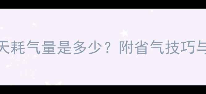 图片 💡威能暖气一天耗气量是多少？附省气技巧与费用计算攻略