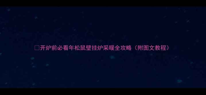 图片 💡开炉前必看年松鼠壁挂炉采暖全攻略（附图文教程）