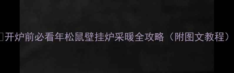 图片 💡开炉前必看年松鼠壁挂炉采暖全攻略（附图文教程）1