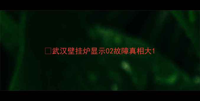 图片 💡武汉壁挂炉显示02故障真相大1