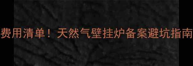 图片 💰最新费用清单！天然气壁挂炉备案避坑指南全攻略