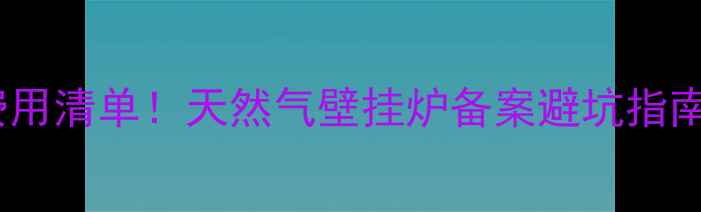图片 💰最新费用清单！天然气壁挂炉备案避坑指南全攻略1
