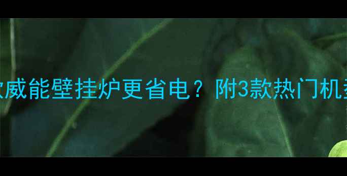 图片 🔥75平家庭选哪款威能壁挂炉更省电？附3款热门机型功率选择指南🔥