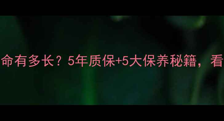 图片 🔥Beretta壁挂炉寿命有多长？5年质保+5大保养秘籍，看完秒变供暖达人！1