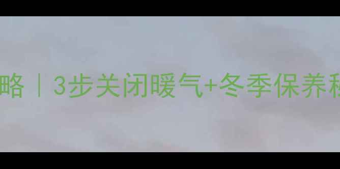 图片 🔥Bosch壁挂炉停暖全攻略｜3步关闭暖气+冬季保养秘籍（附常见问题解答）