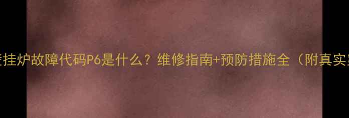 HIQ壁挂炉故障代码P6是什么维修指南预防措施全附真实案例