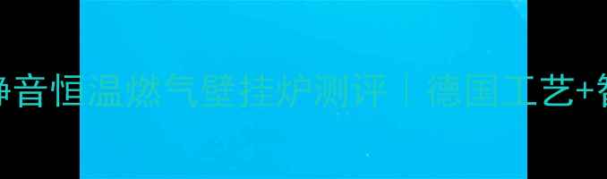 图片 🔥Haydn壁挂炉1N爆款静音恒温燃气壁挂炉测评｜德国工艺+智能控温实测全公开！1