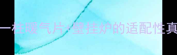图片 🔥一柱暖气片+壁挂炉的适配性真相