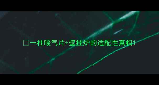 图片 🔥一柱暖气片+壁挂炉的适配性真相1