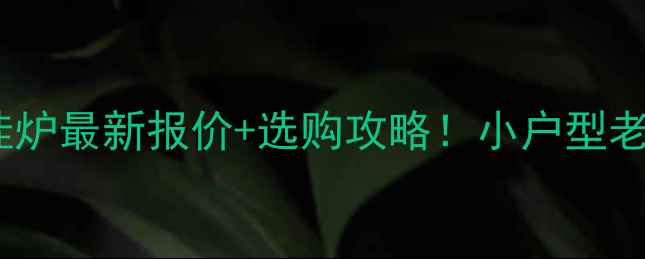 图片 🔥上海帝马壁挂炉最新报价+选购攻略！小户型老房改造必看🏠2