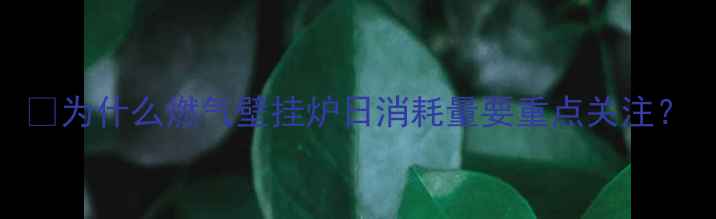 图片 🔥为什么燃气壁挂炉日消耗量要重点关注？