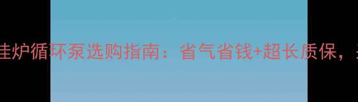 图片 🔥乐天燃气壁挂炉循环泵选购指南：省气省钱+超长质保，采暖设备推荐1