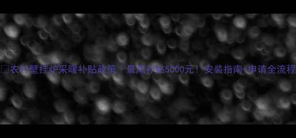农村壁挂炉采暖补贴政策最高补贴5000元安装指南申请全流程