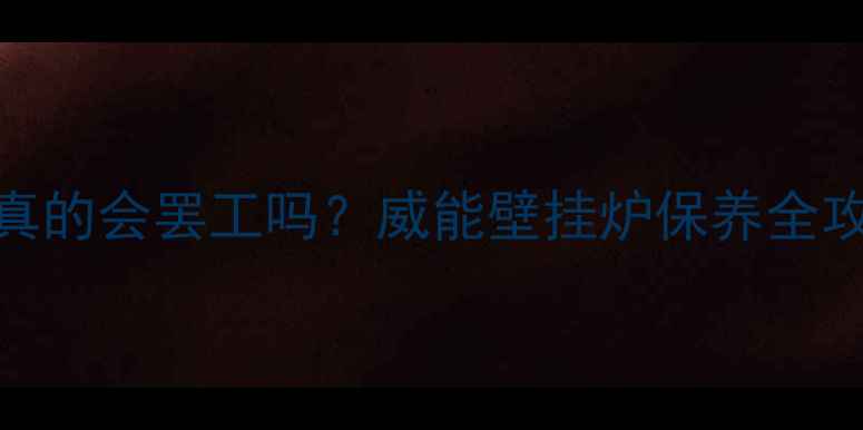 图片 🔥冬季供暖黄金期，你的壁挂炉真的会罢工吗？威能壁挂炉保养全攻略：扳手+工具箱=安全高效暖冬