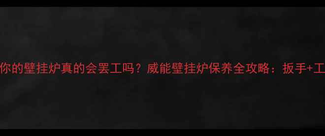 图片 🔥冬季供暖黄金期，你的壁挂炉真的会罢工吗？威能壁挂炉保养全攻略：扳手+工具箱=安全高效暖冬2