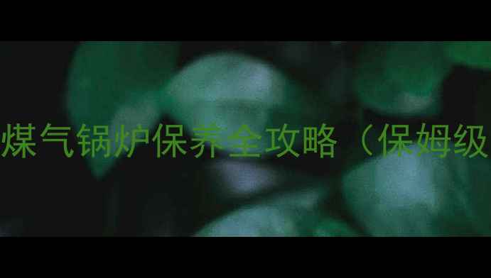 冬季必看家用煤气锅炉保养全攻略保姆级教程避坑指南