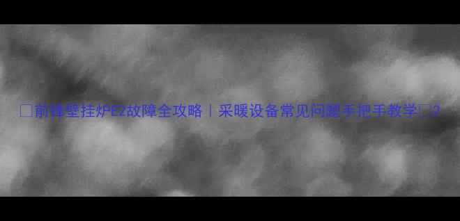 前锋壁挂炉E2故障全攻略采暖设备常见问题手把手教学