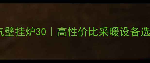 图片 🔥前锋燃气壁挂炉30｜高性价比采暖设备选购攻略✨1