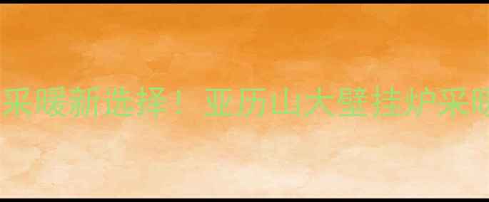 图片 🔥北京家庭采暖新选择！亚历山大壁挂炉采暖全攻略🔥1