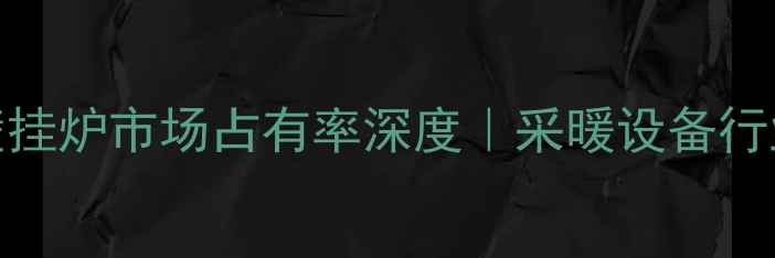 图片 🔥北方壁挂炉市场占有率深度｜采暖设备行业趋势全