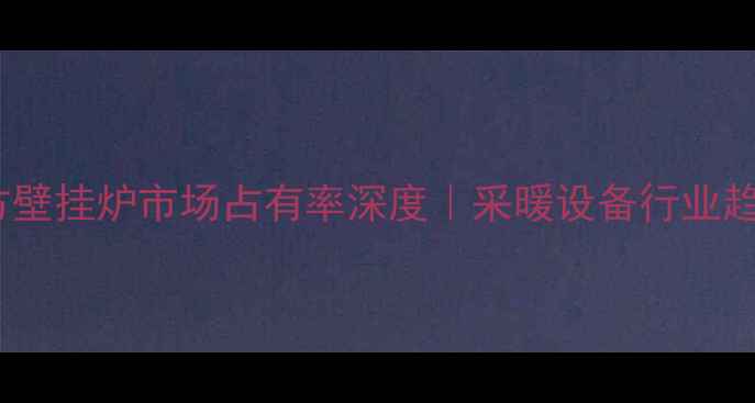 图片 🔥北方壁挂炉市场占有率深度｜采暖设备行业趋势全1