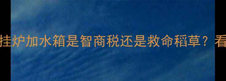 北方家庭必看壁挂炉加水箱是智商税还是救命稻草看完这篇不交冤枉钱