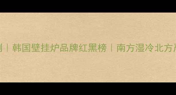 北欧极寒实测韩国壁挂炉品牌红黑榜南方湿冷北方严寒都能扛住