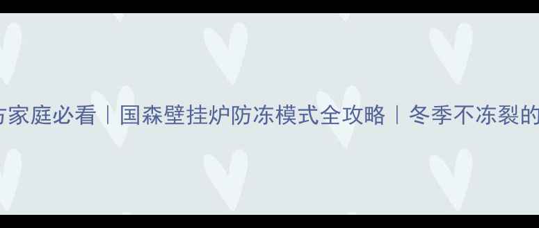 南方家庭必看国森壁挂炉防冻模式全攻略冬季不冻裂的秘密