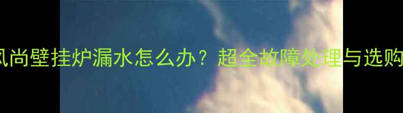 博世欧洲风尚壁挂炉漏水怎么办超全故障处理与选购避坑指南