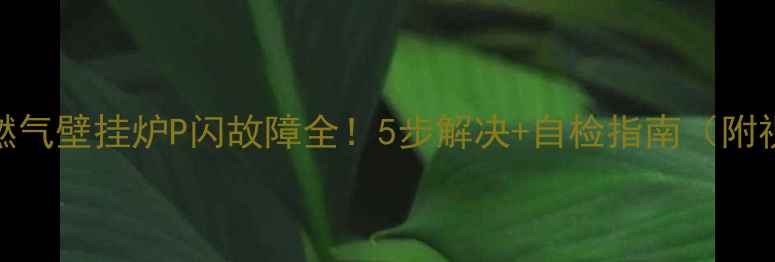 图片 🔥博世燃气壁挂炉P闪故障全！5步解决+自检指南（附视频）💡