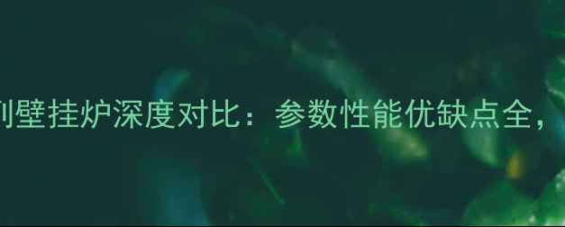 图片 🔥博世贝雷塔系列壁挂炉深度对比：参数性能优缺点全，选购必看指南！2