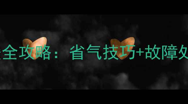 图片 🔥史密斯壁挂炉冬季采暖全攻略：省气技巧+故障处理，温暖过冬不踩坑！1