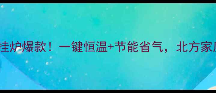 史麦斯燃气壁挂炉爆款一键恒温节能省气北方家庭取暖新选择