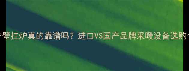 图片 🔥国产壁挂炉真的靠谱吗？进口VS国产品牌采暖设备选购全攻略