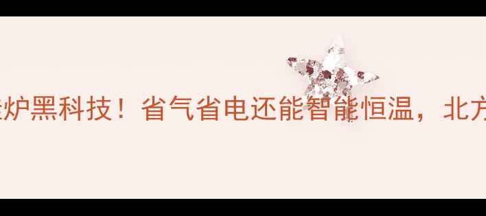 图片 🔥国产威能翻盖壁挂炉黑科技！省气省电还能智能恒温，北方家庭采暖新选择💡1