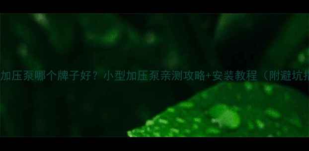 地暖加压泵哪个牌子好小型加压泵亲测攻略安装教程附避坑指南