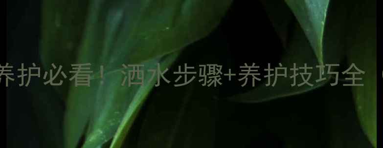 图片 🔥地暖回填养护必看！洒水步骤+养护技巧全（附施工图）