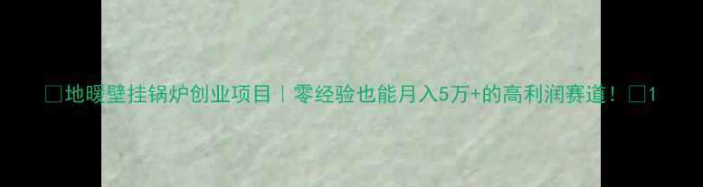 图片 🔥地暖壁挂锅炉创业项目｜零经验也能月入5万+的高利润赛道！💰1