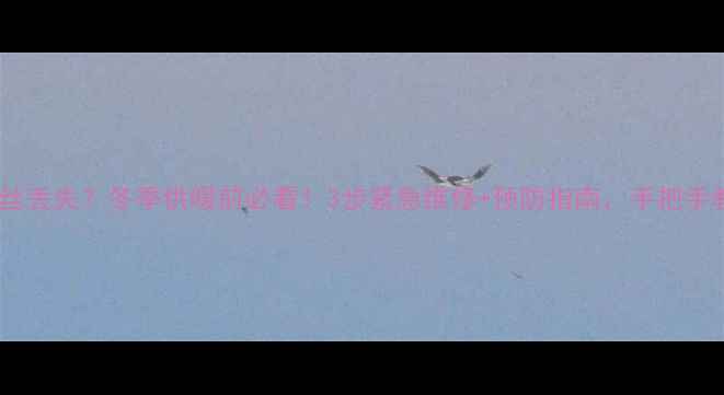 图片 🔥地暖顶楼排气阀螺丝丢失？冬季供暖前必看！3步紧急维修+预防指南，手把手教你解决排气阀故障2