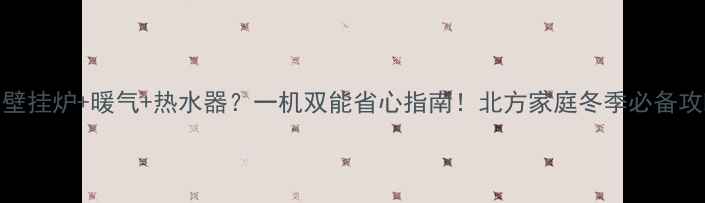 图片 🔥壁挂炉+暖气+热水器？一机双能省心指南！北方家庭冬季必备攻略